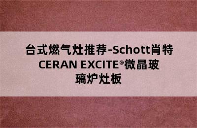 台式燃气灶推荐-Schott肖特CERAN EXCITE®微晶玻璃炉灶板